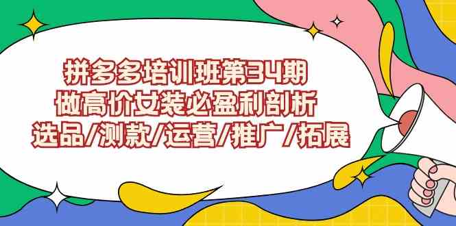 （9333期）拼多多培训班第34期：做高价女装必盈利剖析  选品/测款/运营/推广/拓展-唐人网创