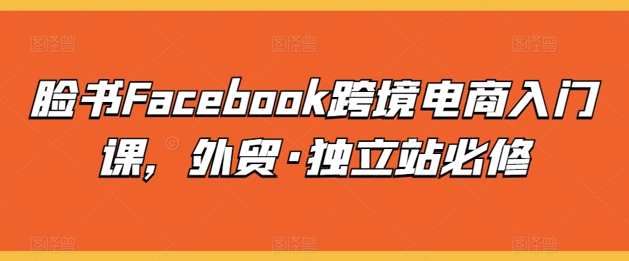 脸书Facebook跨境电商入门课，外贸·独立站必修-唐人网创