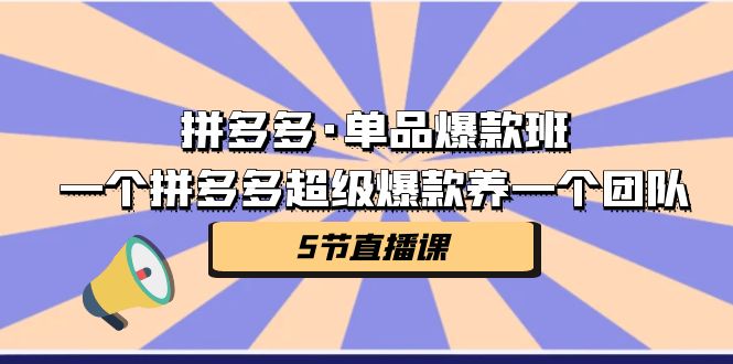 拼多多·单品爆款班，一个拼多多超级爆款养一个团队（5节直播课）-唐人网创