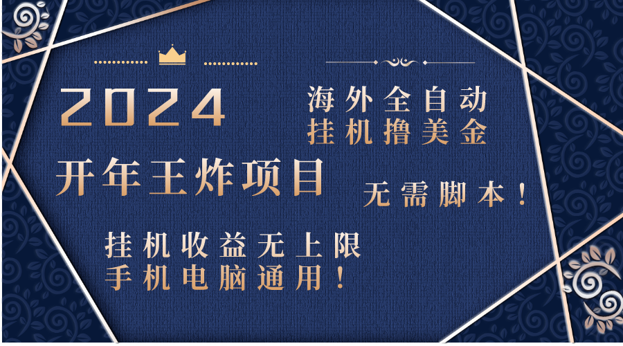 2024海外全自动挂机撸美金项目！手机电脑均可，无需脚本，收益无上限！-唐人网创