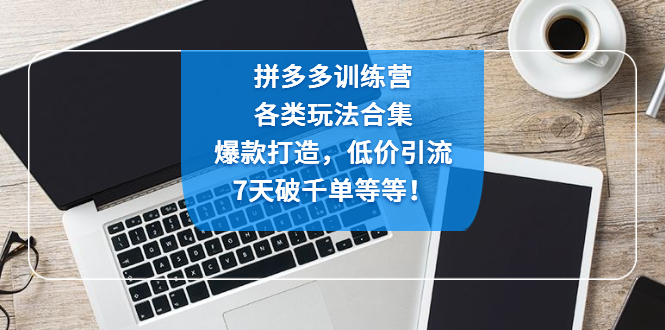 拼多多训练营：各玩法合集，爆款打造，低价引流，7天破千单等等！-唐人网创