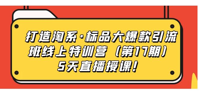 打造淘系·标品大爆款引流班线上特训营（第17期）5天直播授课！-唐人网创