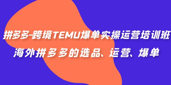 拼多多-跨境TEMU爆单实操运营培训班，海外拼多多的选品、运营、爆单-唐人网创
