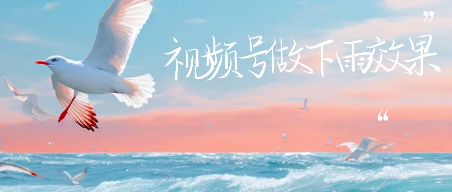 视频号做下雨视频一个账号一周涨粉10W+年入100w-唐人网创