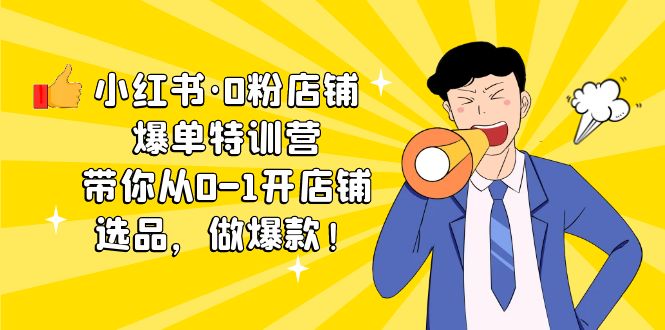 小红书·0粉店铺爆单特训营 带你从0-1开店铺，选品，做爆款（课程+工具包）-唐人网创