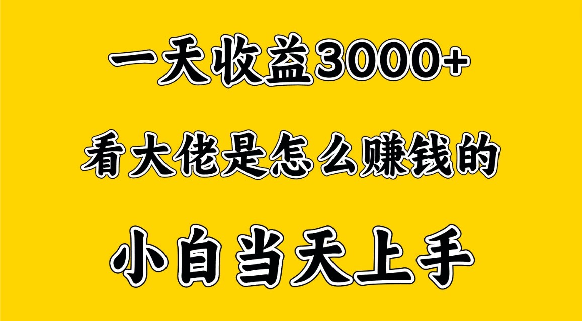 一天赚3000多，大佬是这样赚到钱的，小白当天上手，穷人翻身项目-唐人网创