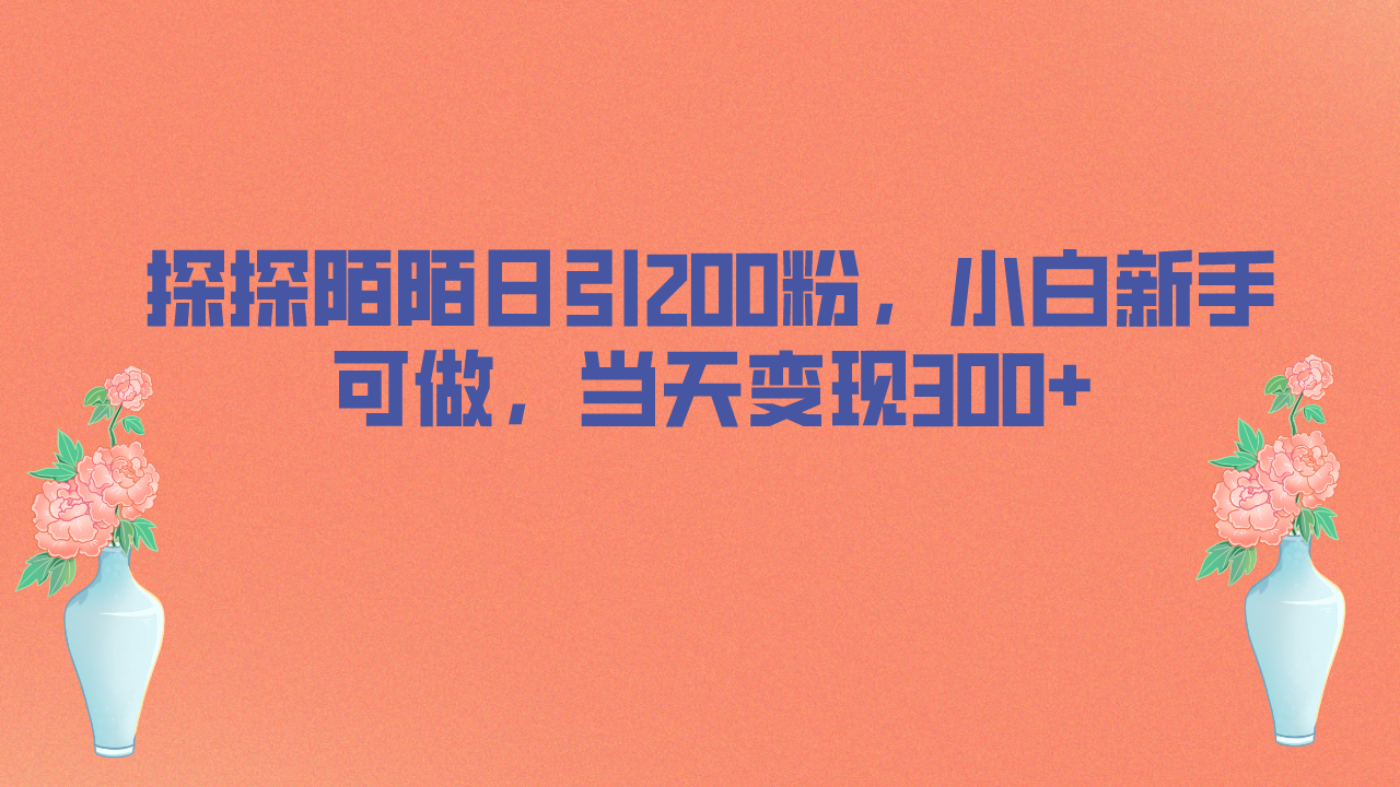 探探陌陌日引200粉，小白新手可做，当天就能变现300+-唐人网创