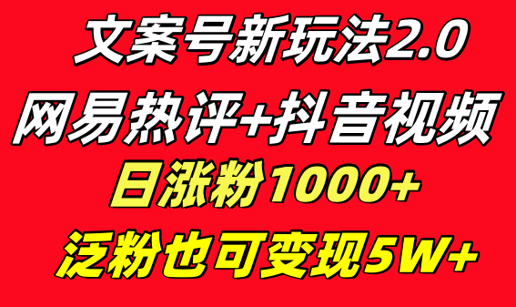 文案号新玩法 网易热评+抖音文案 一天涨粉1000+ 多种变现模式 泛粉也可变现-唐人网创