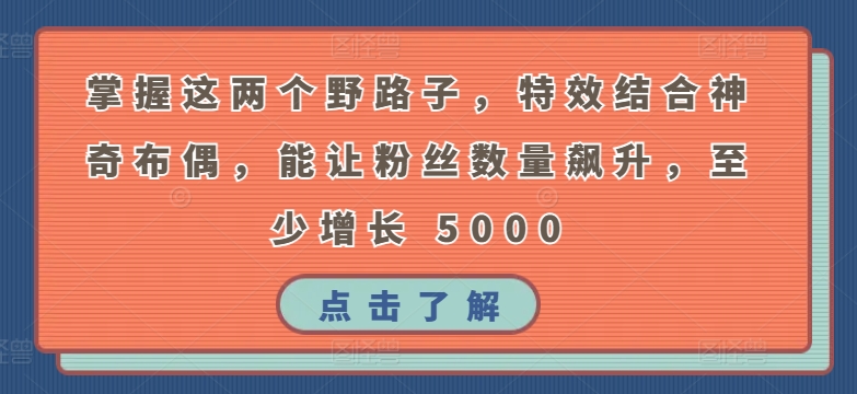 掌握这两个野路子，特效结合神奇布偶，能让粉丝数量飙升，至少增长 5000-唐人网创