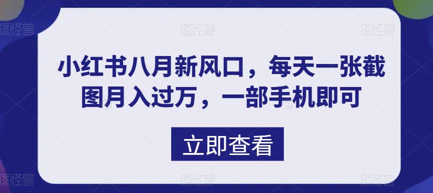 八月新风口，小红书虚拟项目一天收入1000+，实战揭秘-唐人网创