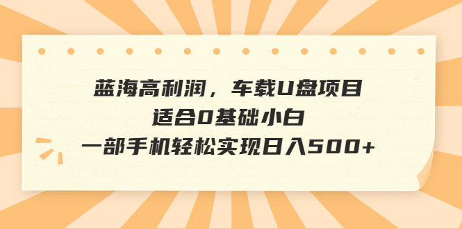 蓝海高利润，车载U盘项目，适合0基础小白，一部手机轻松实现日入500+-唐人网创