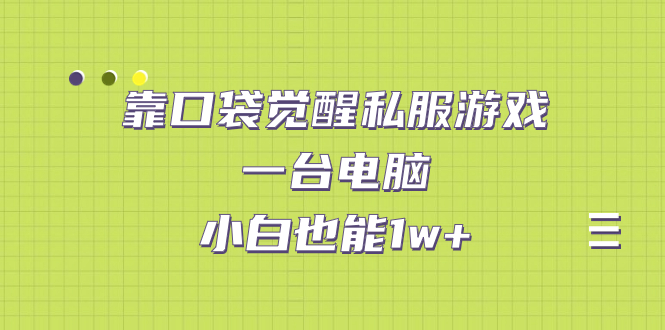 靠口袋觉醒私服游戏，一台电脑，小白也能1w+（教程+工具+资料）-唐人网创