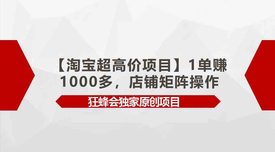 （9849期）【淘宝超高价项目】1单赚1000多，店铺矩阵操作-唐人网创
