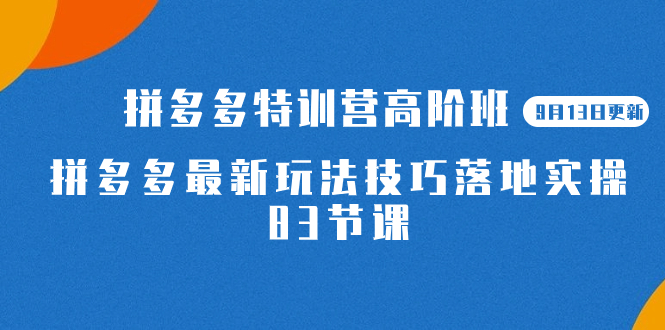 2023拼多多·特训营高阶班【9月19日更新】拼多多最新玩法技巧落地实操-83节-唐人网创