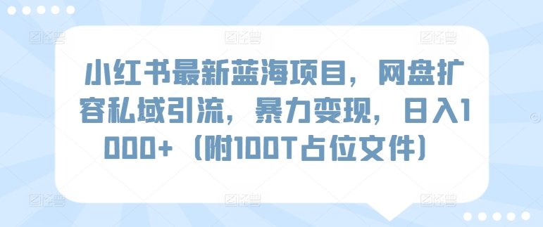 小红书最新蓝海项目，网盘扩容私域引流，暴力变现，日入1000+（附100T占位文件）-唐人网创