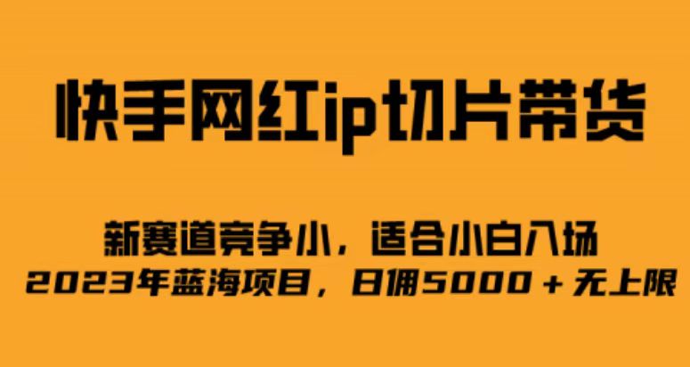 快手网红ip切片新赛道，竞争小事，适合小白 2023蓝海项目-唐人网创