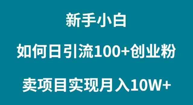 （9556期）新手小白如何通过卖项目实现月入10W+-唐人网创