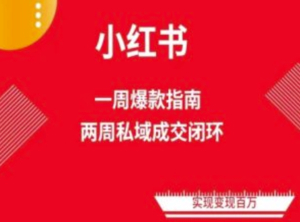 爆款小红书免费流量体系课程(两周变现)，小红书电商教程-唐人网创