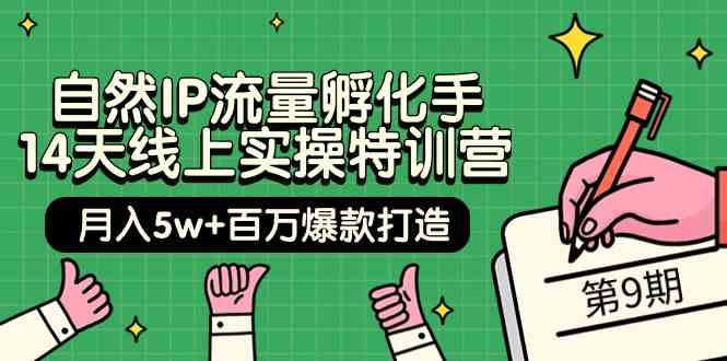 （9881期）自然IP流量孵化手 14天线上实操特训营【第9期】月入5w+百万爆款打造 (74节)-唐人网创