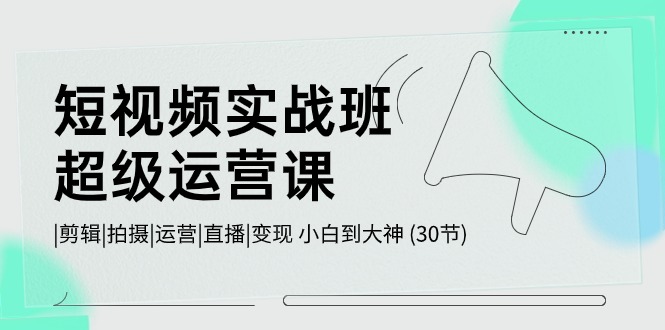 短视频实战班超级运营课 |剪辑|拍摄|运营|直播|变现 小白到大神 (30节)-唐人网创