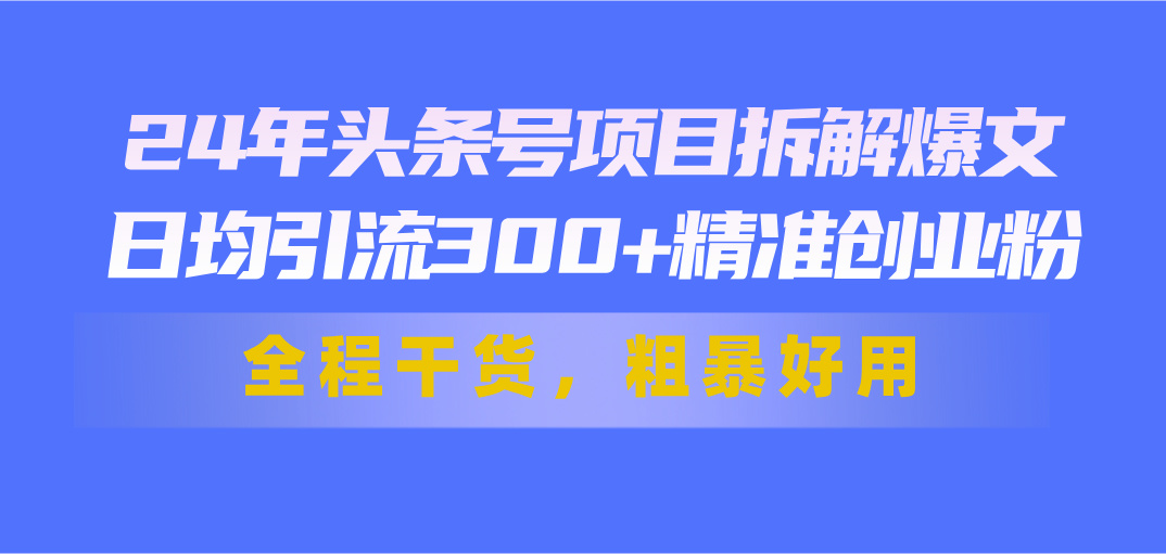 24年头条号项目拆解爆文，日均引流300+精准创业粉，全程干货，粗暴好用-唐人网创