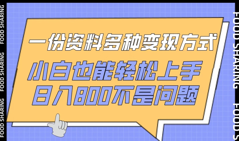 一份资料多种变现方式，小白也能轻松上手，日入800不是问题-唐人网创