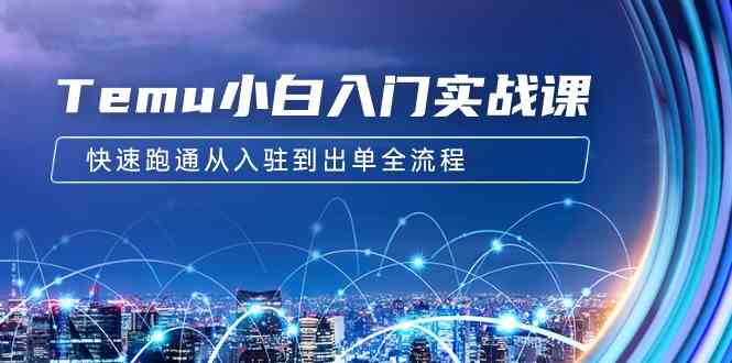（9295期）Temu小白入门实战课：跨境拼多多电商培训 快速跑通从入驻到出单全流程-12节-唐人网创