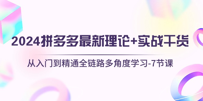 （10816期）2024拼多多 最新理论+实战干货，从入门到精通全链路多角度学习-7节课-唐人网创