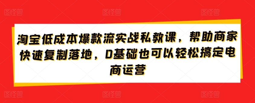 淘宝低成本爆款流实战私教课，帮助商家快速复制落地，0基础也可以轻松搞定电商运营-唐人网创
