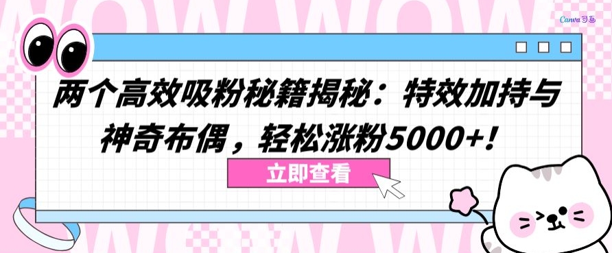 两个高效吸粉秘籍揭秘：特效加持与神奇布偶，轻松涨粉5000+-唐人网创