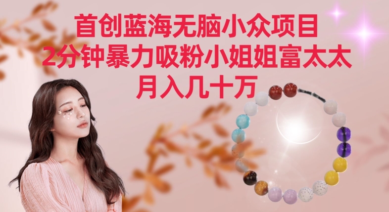 首创蓝海无脑小众项目，2分钟暴力吸粉小姐姐富太太，月入几十万-唐人网创
