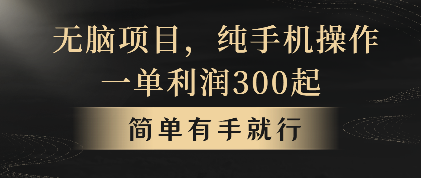 （10699期）无脑项目，一单几百块，轻松月入5w+，看完就能直接操作-唐人网创