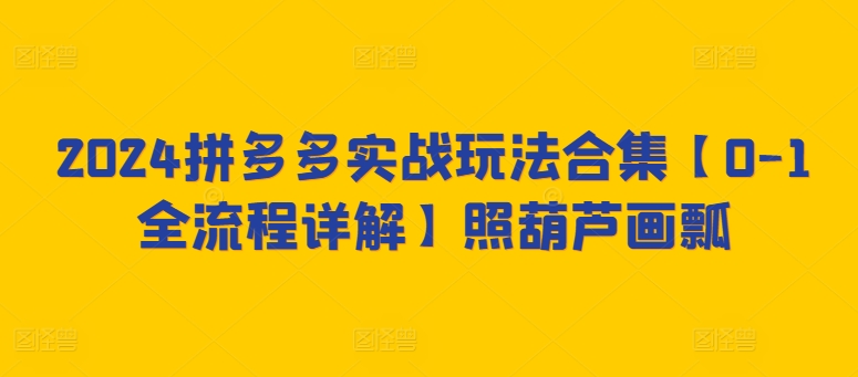 2024拼多多实战玩法合集【0-1全流程详解】照葫芦画瓢-唐人网创