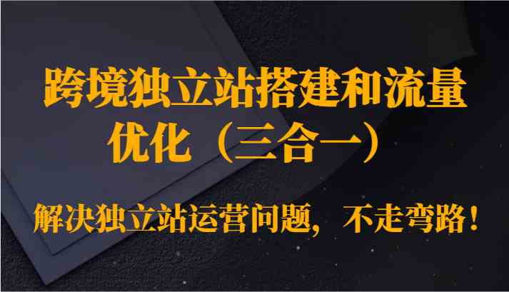 跨境独立站搭建和流量优化（三合一）解决独立站运营问题，不走弯路！-唐人网创