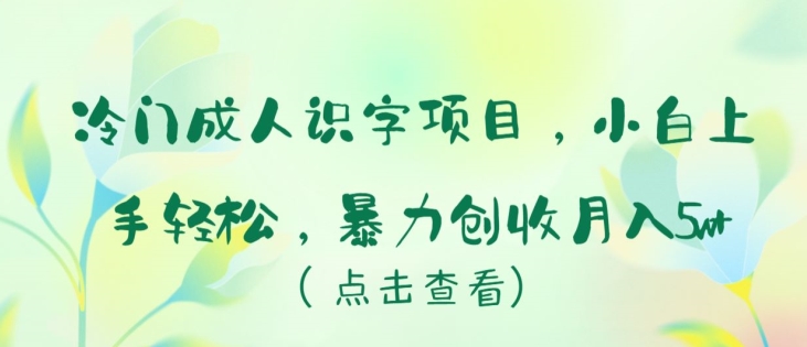冷门成人识字项目，小白上手轻松，暴力创收月入5w+-唐人网创