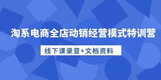 淘系电商全店动销经营模式特训营，线下课录音+文档资料-唐人网创