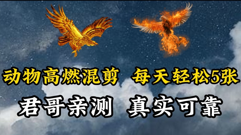 动物超燃混剪，每天轻松5张，剪辑简单大家爱看-唐人网创