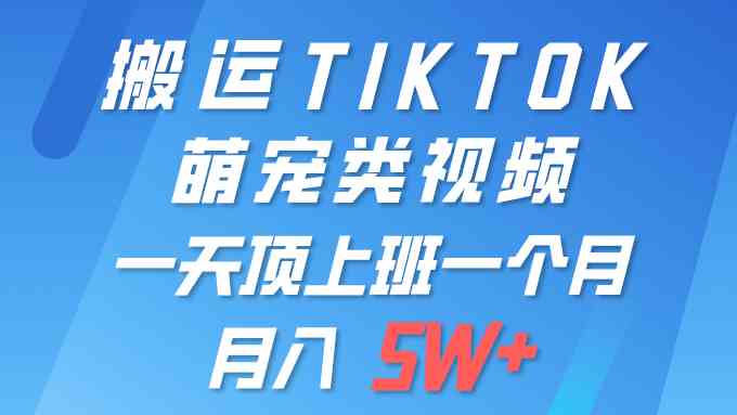 （9931期）一键搬运TIKTOK萌宠类视频 一部手机即可操作 所有平台均可发布 轻松月入5W+-唐人网创