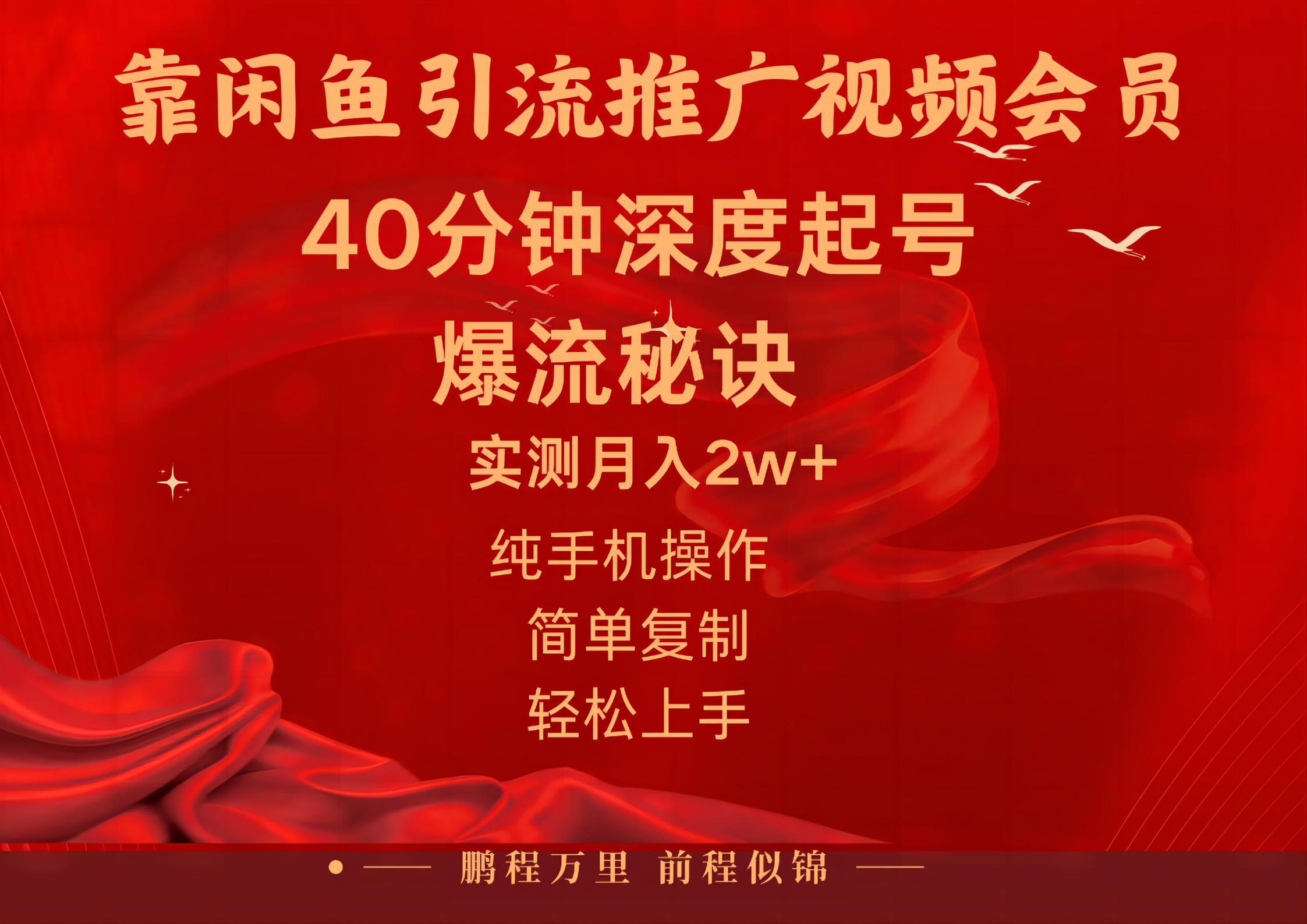 闲鱼暴力引流推广视频会员，能做到日入2W+，操作简单-唐人网创