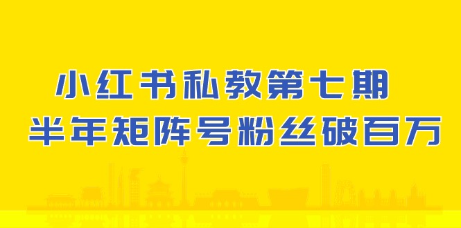 (10650期）小红书-私教第七期，小红书90天涨粉18w，1周涨粉破万 半年矩阵号粉丝破百万-唐人网创