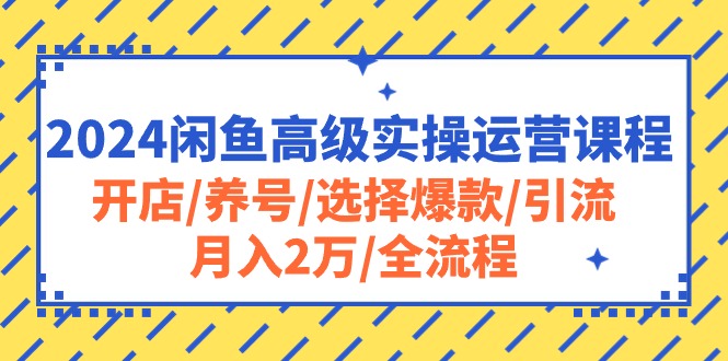 （10711期）2024闲鱼高级实操运营课程：开店/养号/选择爆款/引流/月入2万/全流程-唐人网创