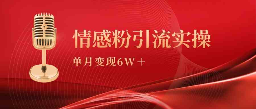 （9473期）单月变现6w+，情感粉引流变现实操课-唐人网创