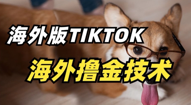 抖音海外版tiktok撸金技术，这个风口行业，赚钱真的不难-唐人网创