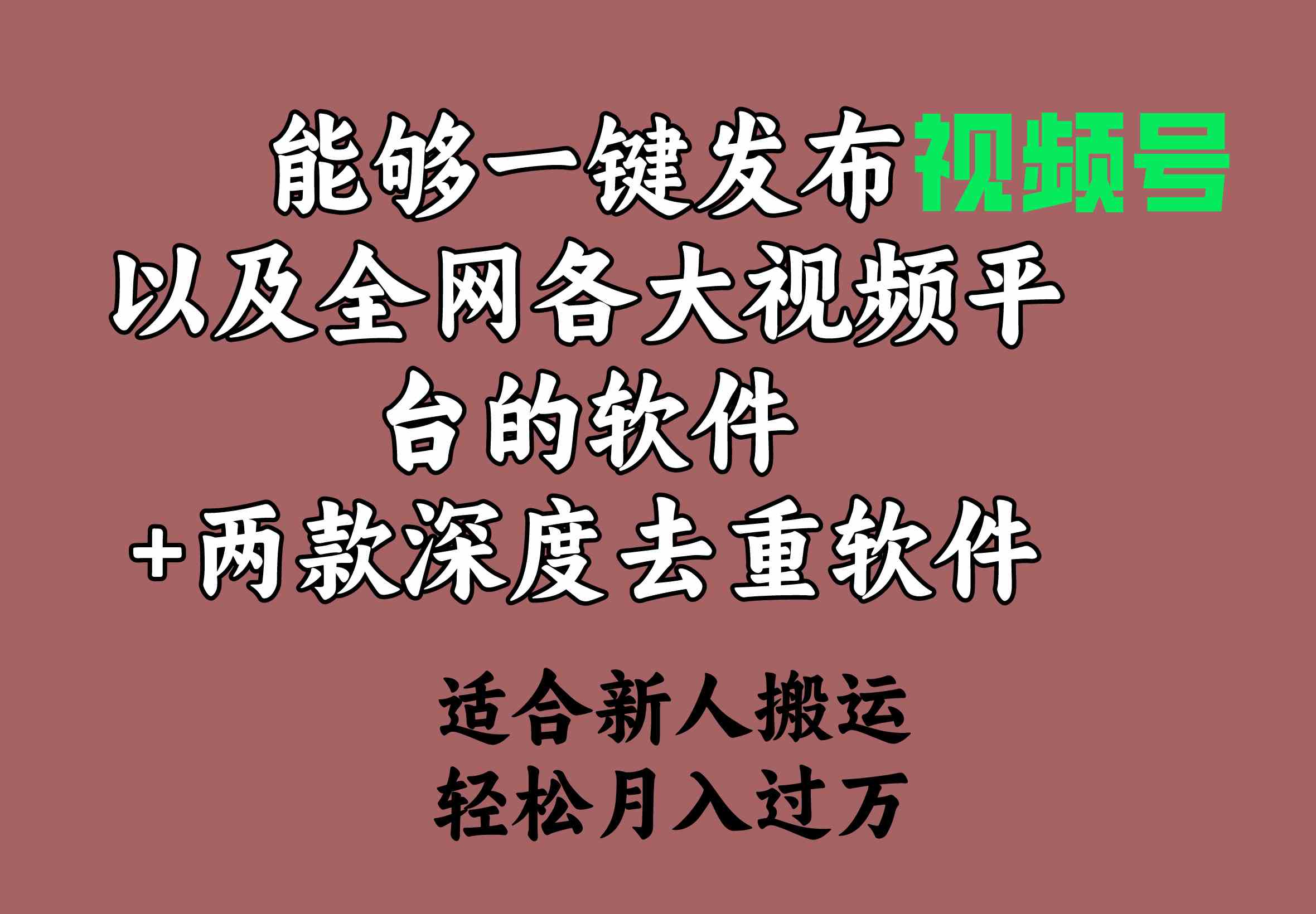 （9319期）能够一键发布视频号以及全网各大视频平台的软件+两款深度去重软件 适合…-唐人网创