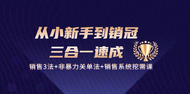 从小新手到销冠三合一速成：销售3法+非暴力关单法+销售系统挖需课 (27节)-唐人网创