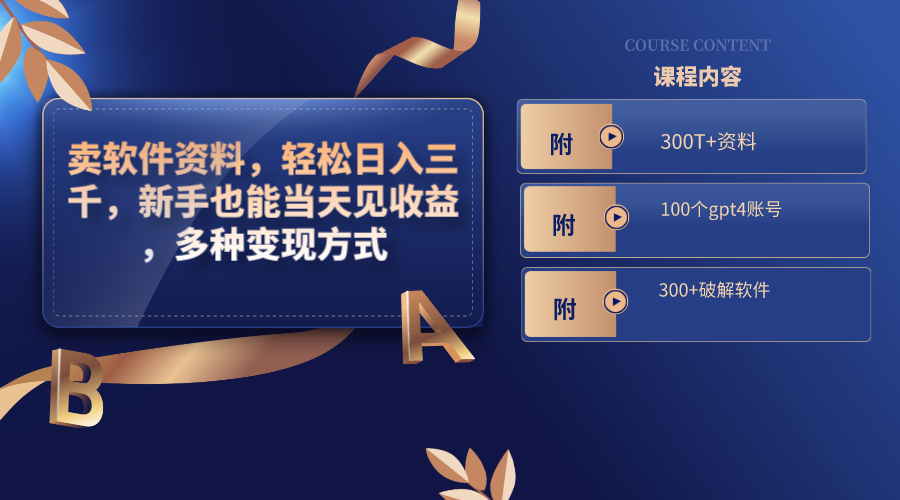 卖软件资料，轻松日入三千，新手也能当天见收益，多种变现方式-唐人网创