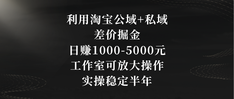 利用淘宝公域+私域差价掘金，日赚1000-5000元，工作室可放大操作，实操…-唐人网创