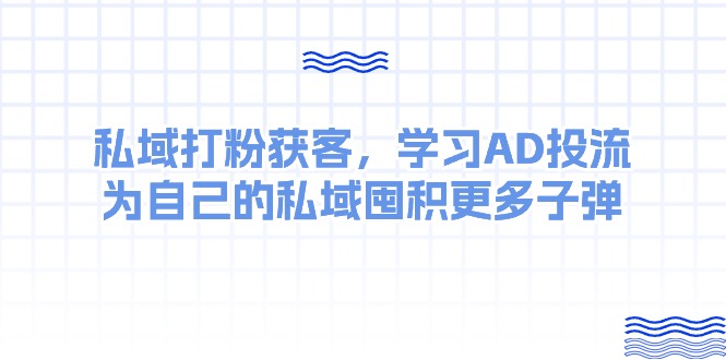 （10728期）某收费课：私域打粉获客，学习AD投流，为自己的私域囤积更多子弹-唐人网创