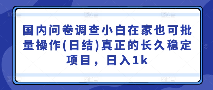 国内问卷调查小白在家也可批量操作(日结)真正的长久稳定项目，日入1k【揭秘】-唐人网创