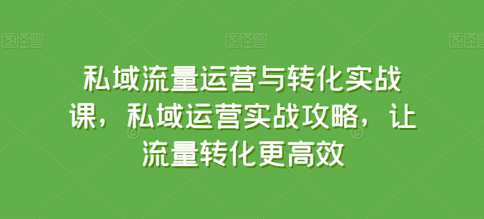 私域流量运营与转化实战课，私域运营实战攻略，让流量转化更高效-唐人网创